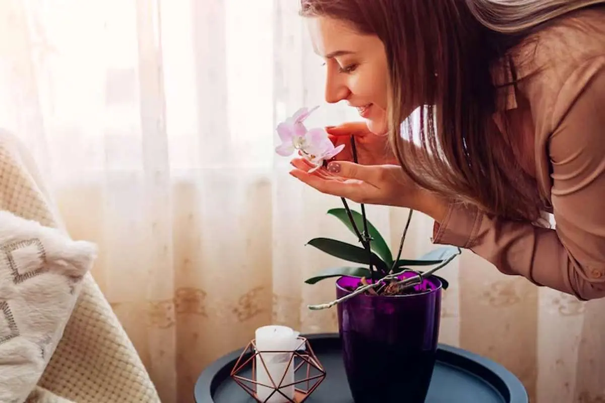 چگونه به روش طبیعی خوشبو بمانیم؟